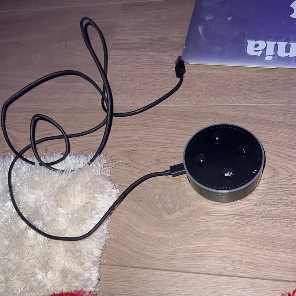 amazon alexa echo